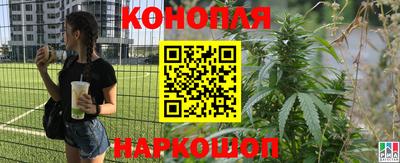 дурь Камышлов