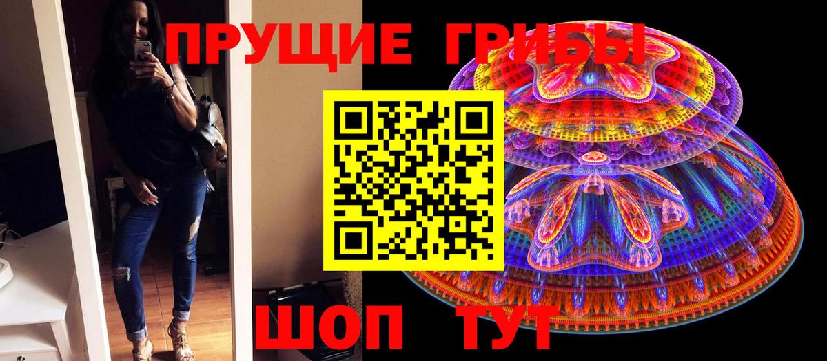 Галлюциногенные грибы Cubensis Мценск